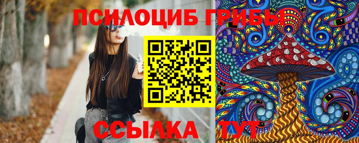 Куйбышев  Псилоцибиновые грибы Psilocybine cubensis  Псилоцибиновые грибы MAGIC MUSHROOMS  Вход с VPN 
