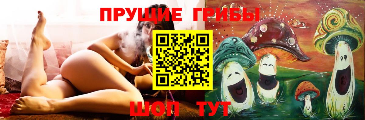 Галлюциногенные грибы прущие грибы Куйбышев