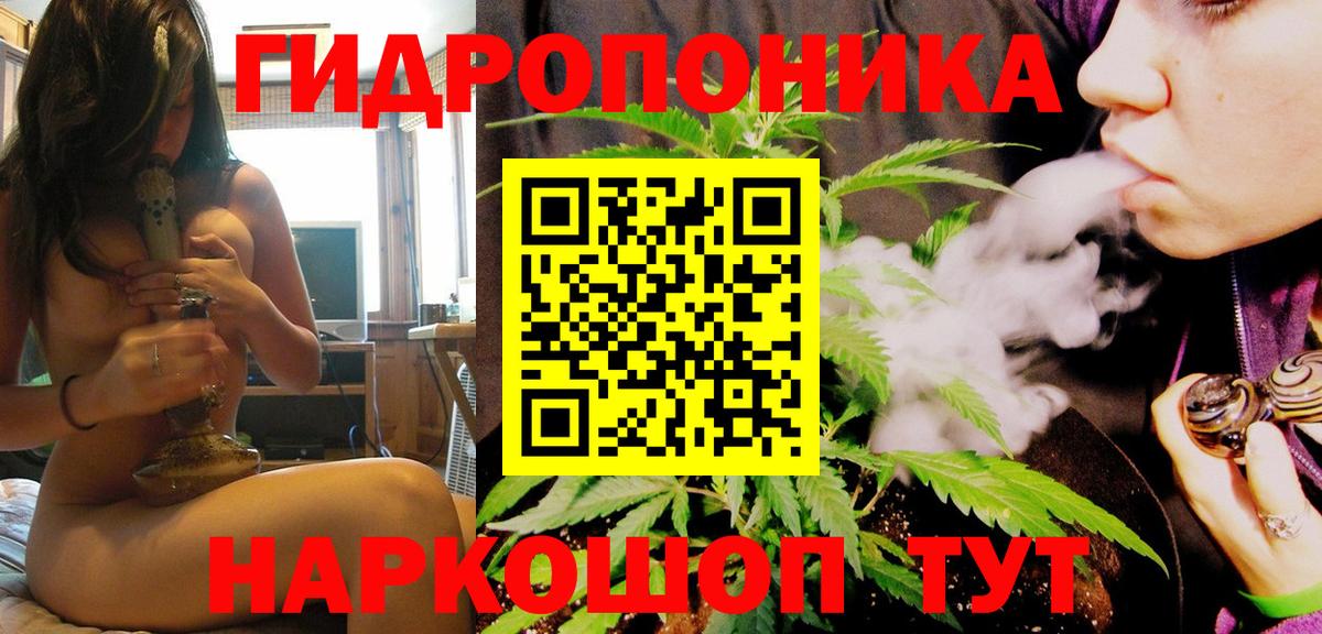 Бошки Шишки Amnesia  Вход с VPN  Каннабис White Widow  МАРИХУАНА ГИДРОПОН  Куйбышев  Марихуана сатива 